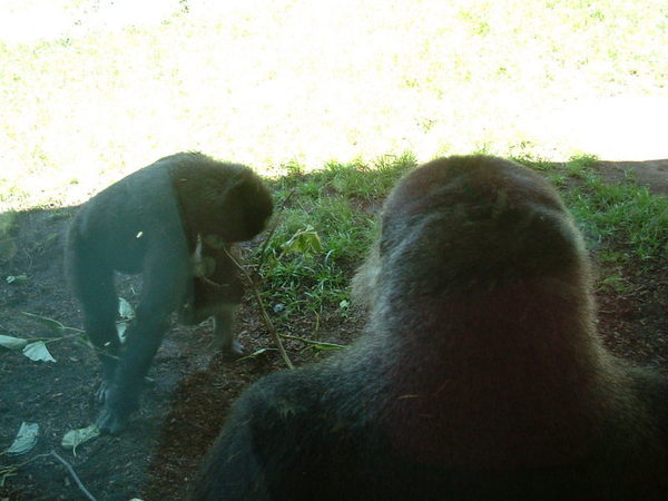 San Diego Zoo