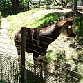 San Diego Zoo