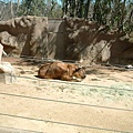 San Diego Zoo