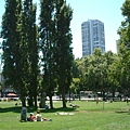 Washington Square