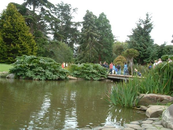 Golden Gate Park