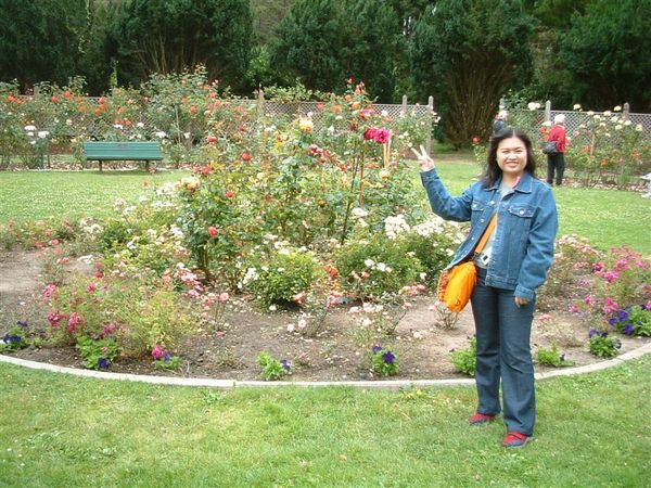 Rose Garden