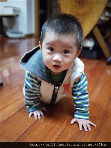 101027 (30) 寶貝 Bernie.JPG