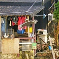 PICT0220.JPG