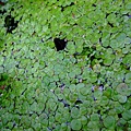 DSCF0072.jpg