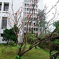 DSCF0080.jpg