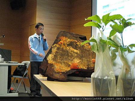 台灣力晶科技牛樟產業講座2 台灣力晶科技牛樟產業講座2