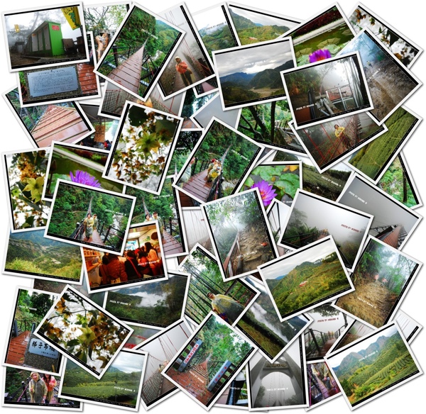 9803tenti.jpg 9803tenti.jpg