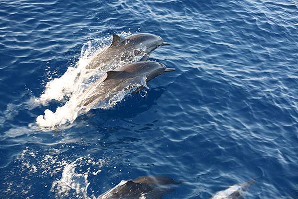 9 SUNSET TOUR F 拷貝.jpg 9 SUNSET TOUR F 拷貝.jpg