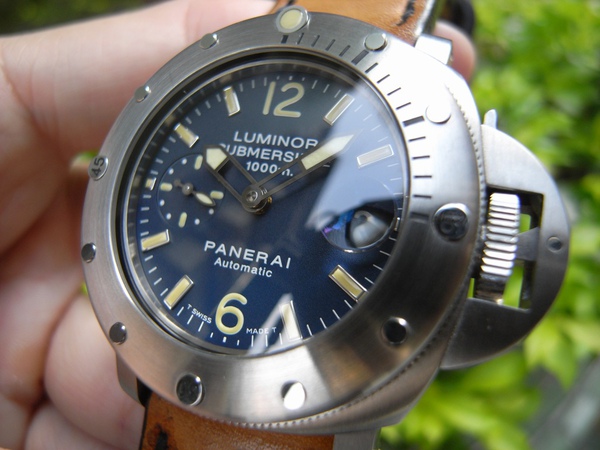 PAM087-2.JPG