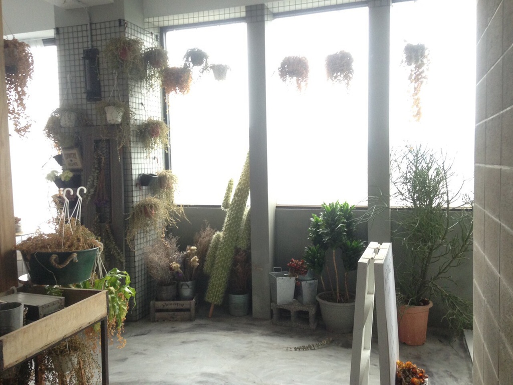 網拍攝影棚推薦 網拍攝影棚推薦