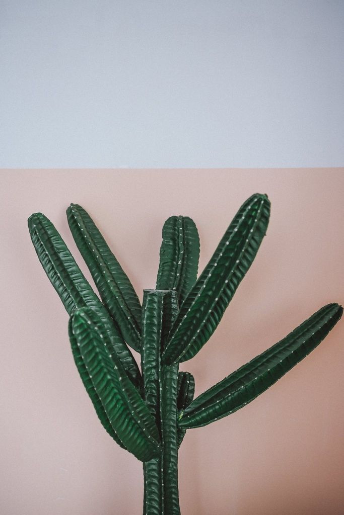 這次介紹台北ME 攝影棚M6出租空間 M6空間這次以簡約灰牆與白色、大地色系做為主軸 Motion Extensity台北攝影棚出租, 為了讓各位一直有新的感受 不定期會有新的道具、佈景、配色都利用同一個地點創造了10種不同風格的攝影棚!.jpg 這次介紹台北ME 攝影棚M6出租空間 M6空間這次以簡約灰牆與白色、大地色系做為主軸 Motion Extensity台北攝影棚出租, 為了讓各位一直有新的感受 不定期會有新的道具、佈景、配色都利用同一個地點創造了10種不同風格的攝影棚!.jpg