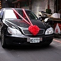 IMG_1015.jpg