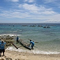 Whale Shark @ Oslob