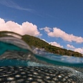 Whale Shark @ Oslob