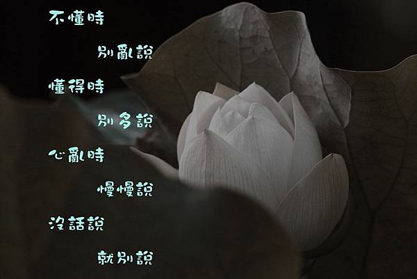 raw-image