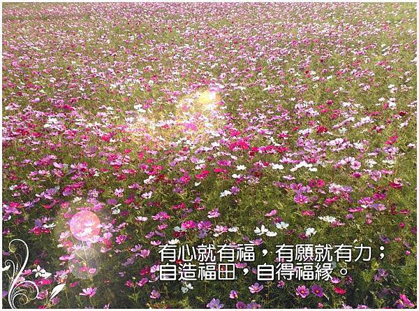 有心就有福有願就有力 有心就有福有願就有力