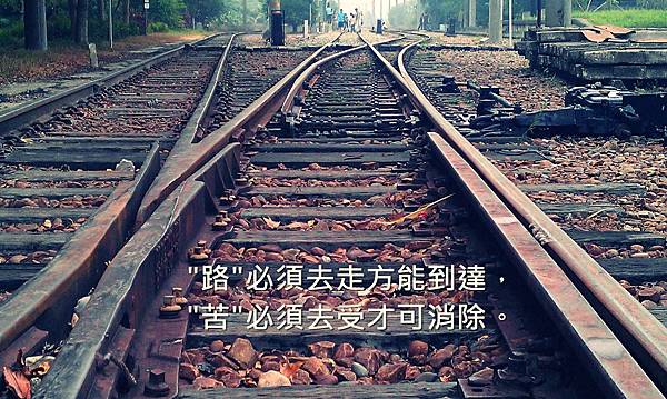 1468179486-4088697411_n.jpg