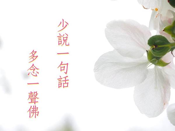 少說一句話多唸一聲佛 少說一句話多唸一聲佛