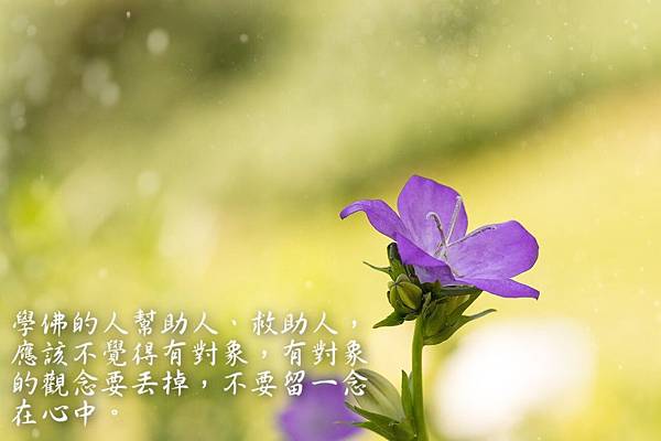 raw-image