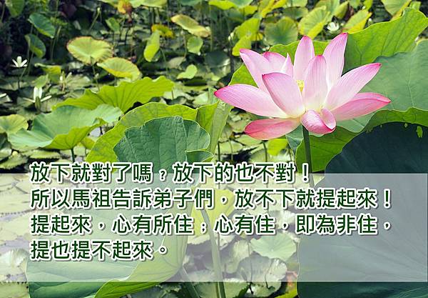 放下就對了嗎﹖放下的也不對!所以馬祖告訴弟子們,放不下就提起來!提起來,心有所住﹔心有住,即為非住,提也提不起來。 放下就對了嗎﹖放下的也不對!所以馬祖告訴弟子們,放不下就提起來!提起來,心有所住﹔心有住,即為非住,提也提不起來。