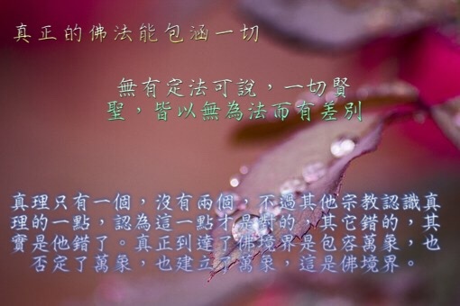 真正的佛法包涵一切