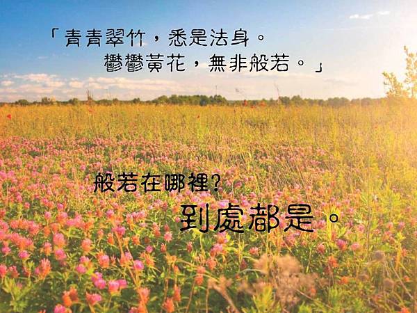 「青青翠竹，悉是法身。鬱鬱黄花，无非般若。」般若在哪裡﹖到处都是。