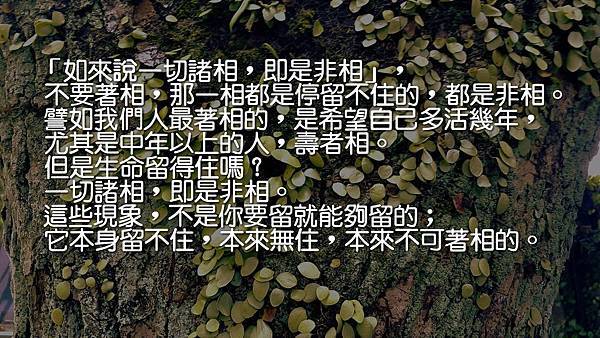 「如來說一切諸相，即是非相」，不要著相，那一相都是停留不住的，都是非相。譬如我們人最著相的，是希望自己多活幾年，尤其是中年以上的人，壽者相。但是生命留得住嗎﹖一切諸相，即是非相。這些現象，不是你要留就能夠留的﹔它本身留不住，本來無住，本來不可著相的。.jpg