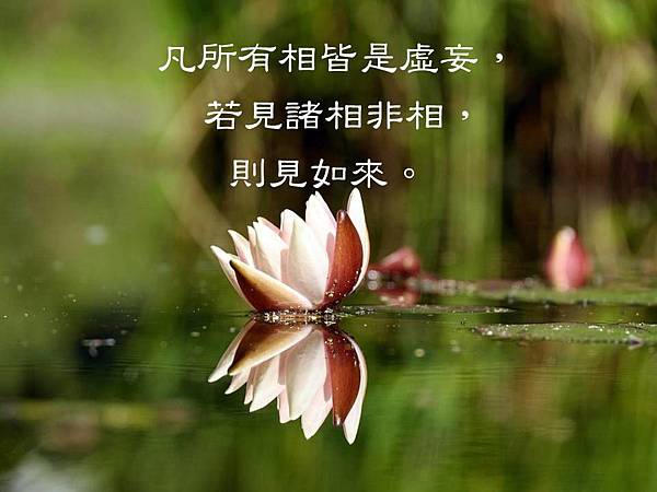 凡所有相皆是虛妄，若見諸相非相，則見如來。.JPG