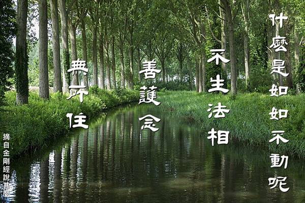 什麼是如如不動呢 什麼是如如不動呢