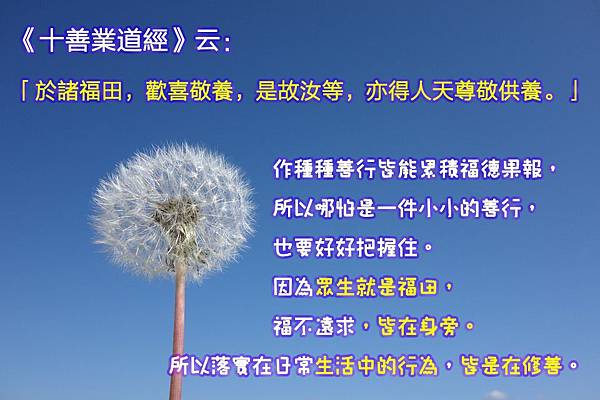 金剛心總持論15 於諸福田，歡喜敬養，是故汝等，亦得人天尊敬供養