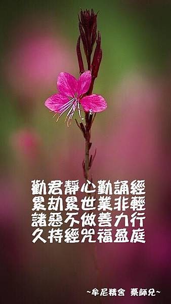 阿伯提醒的話_170717_0019.jpg