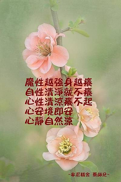 阿伯提醒的話_170717_0076.jpg