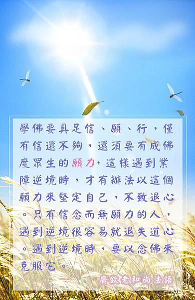 對弘法度眾生3對出家的子開示 放下俗情_170717_0020.jpg