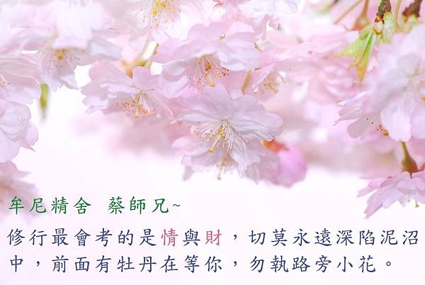 牟尼精舍 蔡師兄 ( 繁體 )_170905_0003