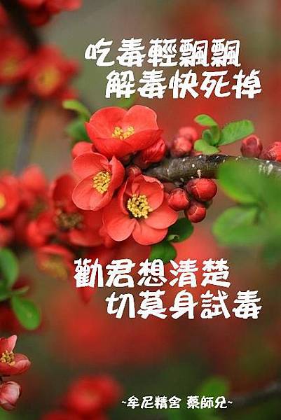 阿伯的話－精誠區１０５年－１０６年_170905_0004