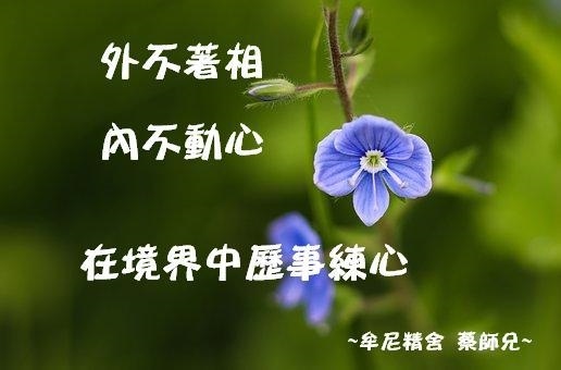 阿伯的話－精誠區１０５年－１０６年_170905_0017