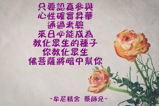 阿伯的話－精誠區１０５年－１０６年_170905_0079.jpg