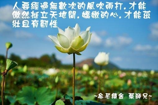 阿伯的話－精誠區１０５年－１０６年_170905_0032.jpg