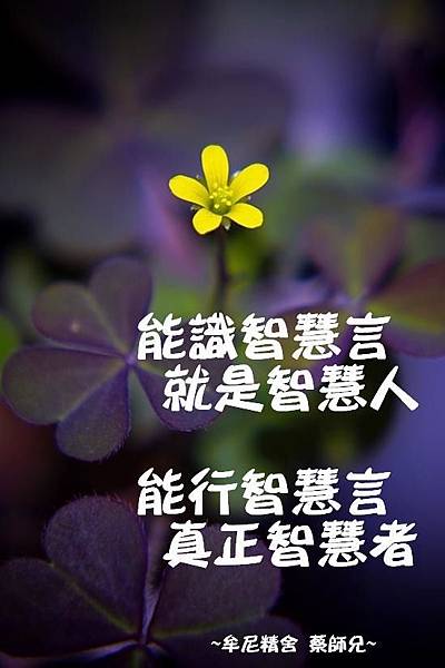 阿伯的話－精誠區１０５年－１０６年_170905_0044.jpg