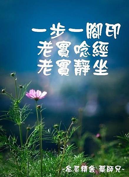 raw-image
