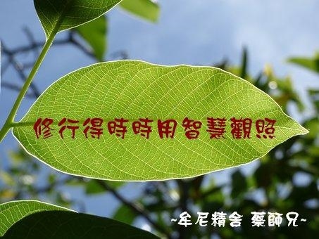 阿伯的話－精誠區１０５年－１０６年_170905_0070.jpg