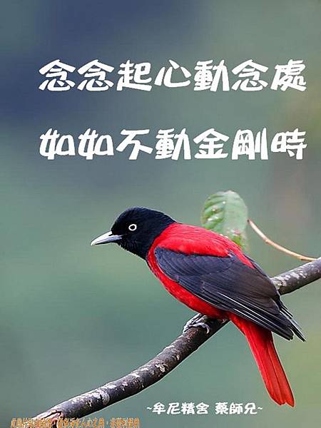 一月加備註上傳 繁體_180201_0164 一月加備註上傳 繁體_180201_0164