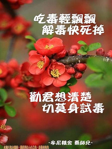 一月加備註上傳 繁體_180201_0165 一月加備註上傳 繁體_180201_0165