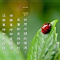 淬玉良言 - 淨化心語 27.jpg