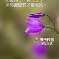 淬玉良言 - 淨化心語 84.jpg