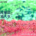 Evy-聖嚴自在語108第三輯-繁_1.jpg