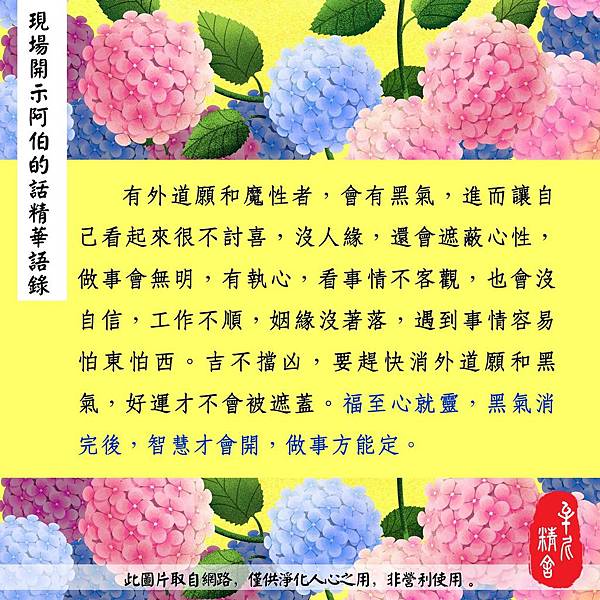 放生自己吧! 放生自己吧!
