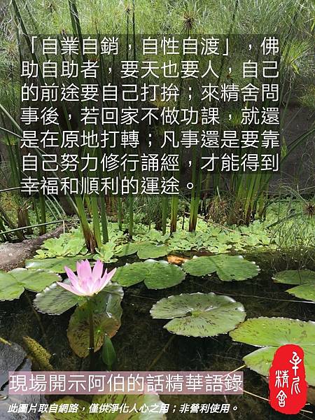 離苦的方法 離苦的方法
