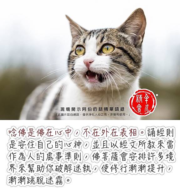 佛需要大福